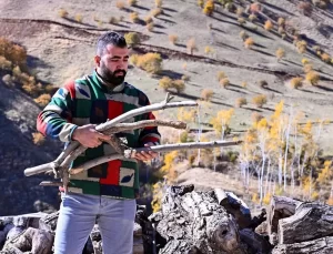 Yusuf Tan’dan Ceviz Ağaçlarına Sanat