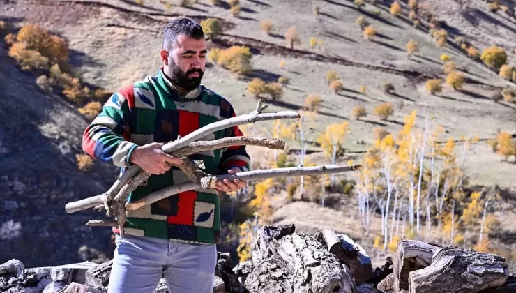 Yusuf Tan’dan Ceviz Ağaçlarına Sanat