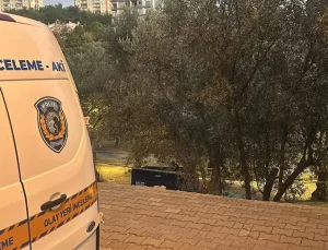 Zeytin Toplama Kazası: Bir Kişi Hayatını Kaybetti