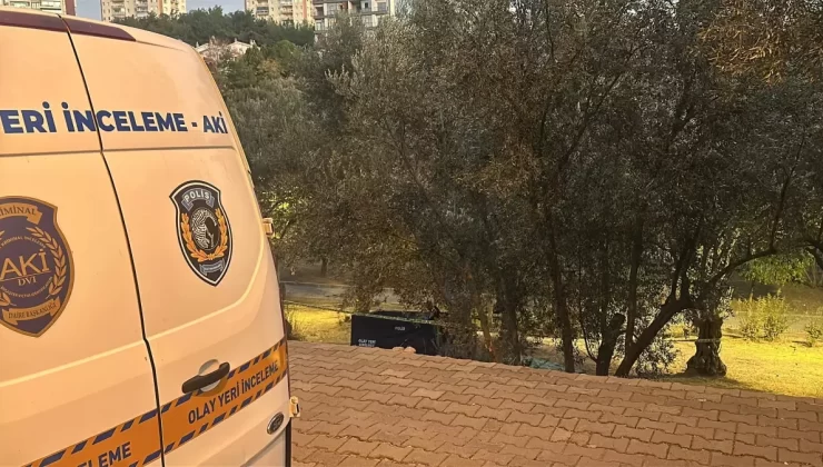 Zeytin Toplama Kazası: Bir Kişi Hayatını Kaybetti