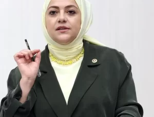 Zeytin Üreticisi Zor Durumda