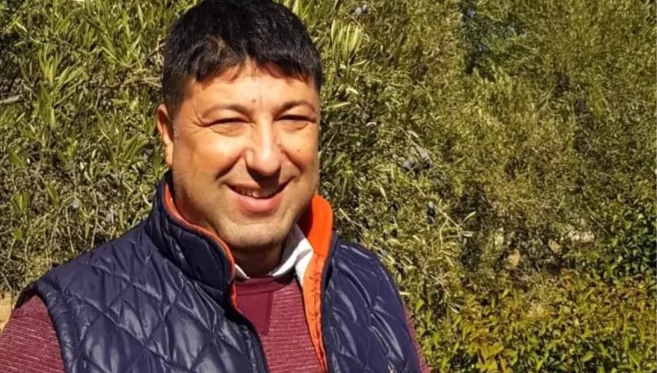 Zeytinlerde Acılık Artıyor