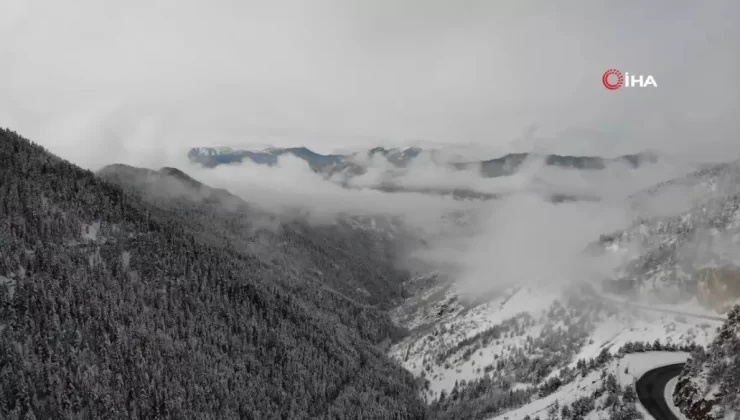 Zigana Dağı’nda Kar Manzarası