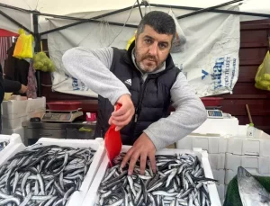 Zonguldak’ta Hamsi Fiyatları Düştü