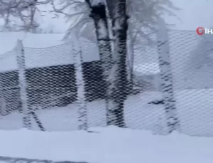 Zonguldak’ta Kar Yağışı Etkili Oldu