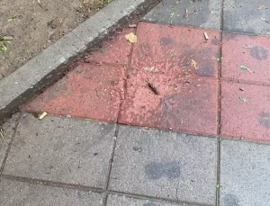 Zveçan’da El Bombalı Saldırı