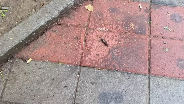 Zveçan’da El Bombalı Saldırı