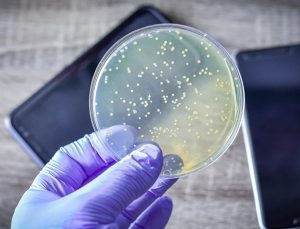 Araştırmacılara göre cep telefonları tuvaletlerden daha kirli