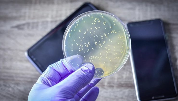 Araştırmacılara göre cep telefonları tuvaletlerden daha kirli