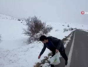 Berkay Yıldırım’dan Yaban Hayvanlara Yem Desteği