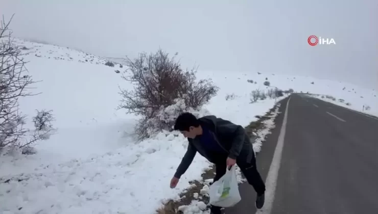 Berkay Yıldırım’dan Yaban Hayvanlara Yem Desteği