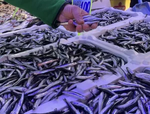 Karadeniz’de Hamsi Sezonu Başladı: Tezgahlar Şenlendi