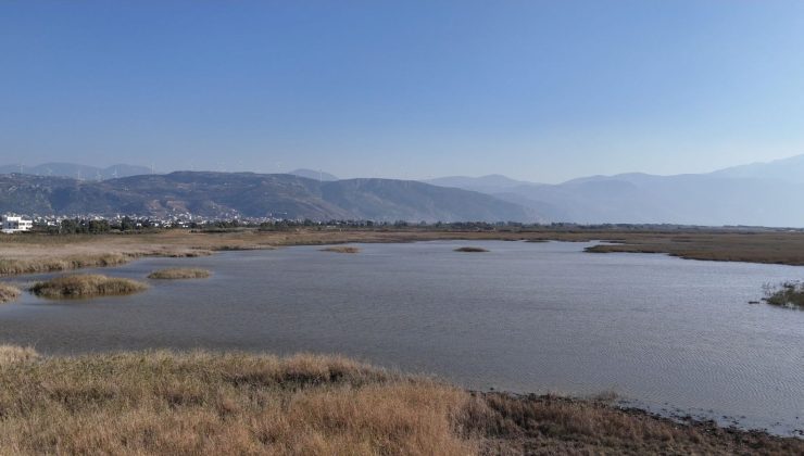 “Kuş cenneti” eski günlerine döndü:  302 kuş türüne ev sahipliği yapıyor
