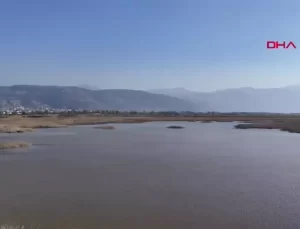 Milleyha Kuş Cenneti Eski Günlerine Dönüyor