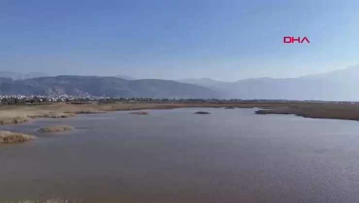 Milleyha Kuş Cenneti Eski Günlerine Dönüyor