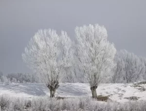 Ovacık’ta Soğuk Hava ve Kar Manzarası