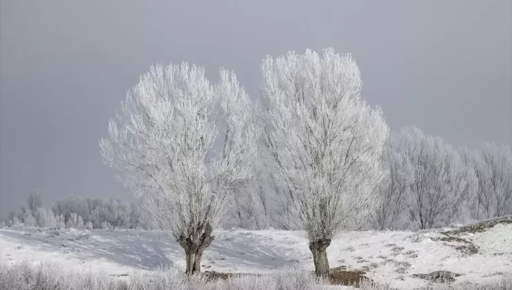 Ovacık’ta Soğuk Hava ve Kar Manzarası