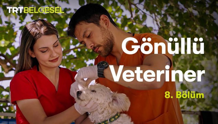Gönüllü Veteriner | 8. Bölüm | TRT Belgesel