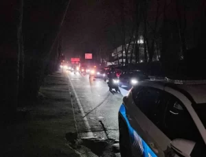 Hız yapan sürücü aracıyla ormanlık alana uçtu