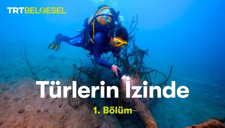 Türlerin İzinde | 1. Bölüm | TRT Belgesel
