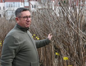 20 yıl evvel 5 dönümle başladı: Çanakkale’nin en büyük ihracatçısı oldu