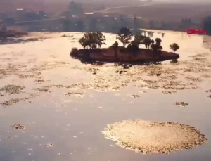 2024 Yılı Rekor Ziyaretçi Sayısı ile Korunan Alanlar Ziyaret Edildi