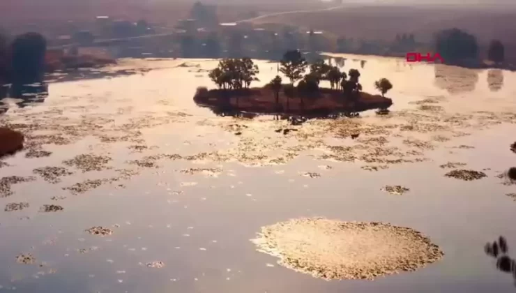 2024 Yılı Rekor Ziyaretçi Sayısı ile Korunan Alanlar Ziyaret Edildi