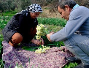 4 yıl evvel hobi olarak başladı artık geçim kaynağına dönüştü: Mersin’de yetiştiriyor