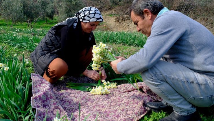 4 yıl evvel hobi olarak başladı artık geçim kaynağına dönüştü: Mersin’de yetiştiriyor