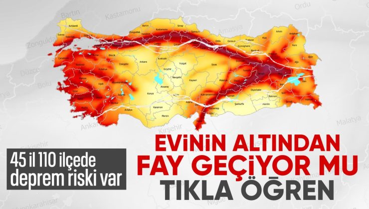 45 vilayet ve 110 ilçe sarsıntı riski taşıyor: Meskenin altında fay sınırı var mı