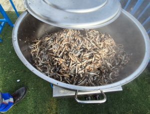 5 ton hamsi için 2 kilometrelik kuyruk oluştu