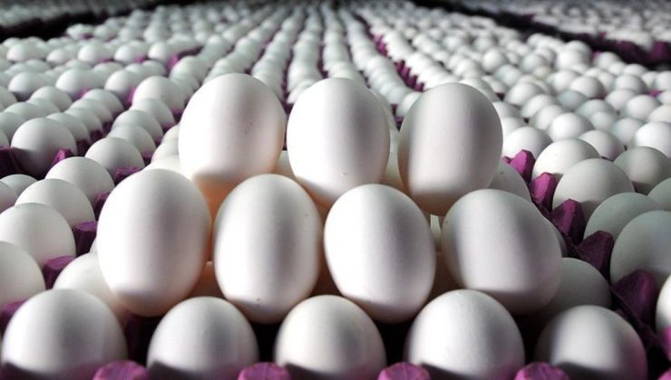 ABD’de kuş gribi yumurta fiyatlarını uçurdu: 100 bin yumurta çalındı
