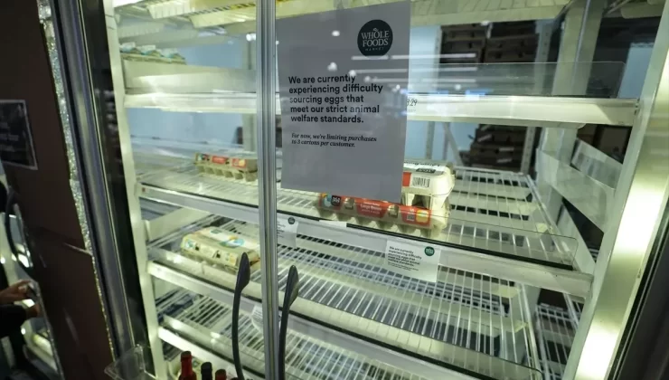 ABD’de Kuş Gribi Yumurtaları Etkiliyor