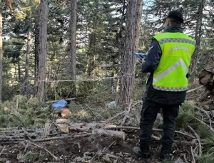 Ağaç Altında Kalan İşçi Hayatını Kaybetti