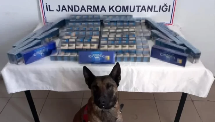 Ağrı’da Kaçak Sigara Operasyonu