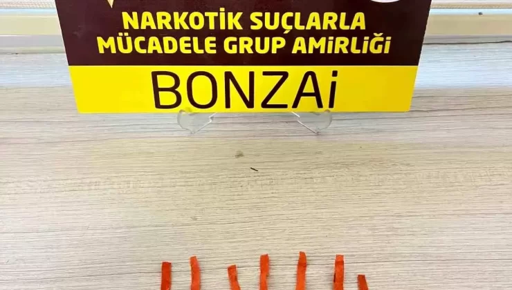 Akşehir’de Uyuşturucu Yakalandı