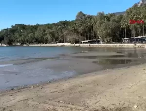 Akyaka’da Deniz Suyu 30 Metre Çekildi, Deprem Korkusu Yersiz