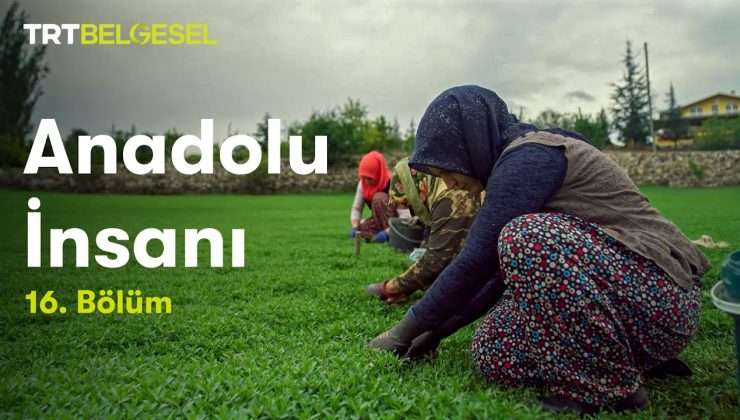 Anadolu İnsanı | Yenilik (16.Bölüm) | TRT Belgesel