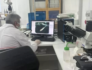 Anadolu Yağ Balığı Muhafaza Projesi