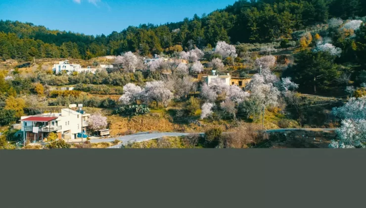 Antalya’da Ağaçlar 1 Ay Erken Çiçek Açtı, Üreticiler Korku İçinde