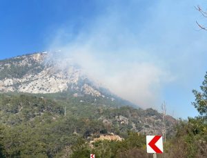 Antalya’da orman yangını