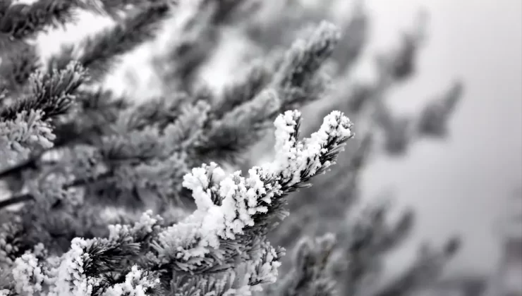 Ardahan ve Ağrı’da Yoğun Sis ve Kırağı