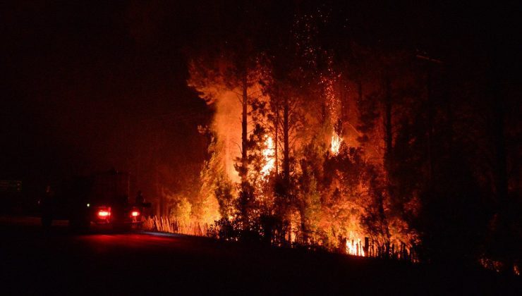 Arjantin’de orman yangınlarından 20 bin hektarlık alan etkilendi