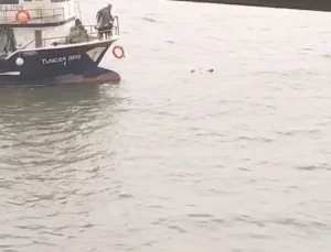 Atatürk Köprüsü’nden Denize Düşen Kadın Balıkçılar Tarafından Kurtarıldı