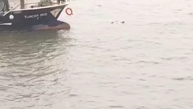 Atatürk Köprüsü’nden Denize Düşen Kadın Balıkçılar Tarafından Kurtarıldı