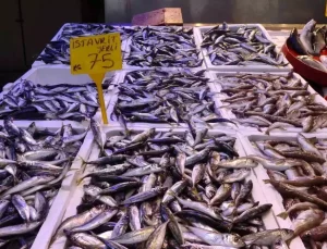 Av Yasağı 15 Nisan’da Sona Eriyor