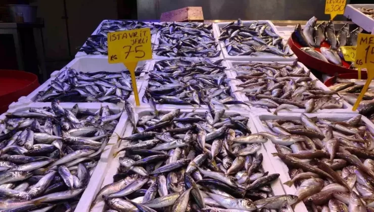 Av Yasağı 15 Nisan’da Sona Eriyor