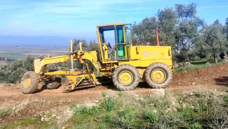 Aydın Büyükşehir Belediyesi Üreticilere Destek Olmaya Devam Ediyor