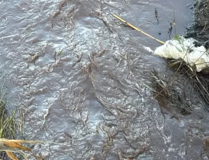 Bafa Gölü’ndeki Kirlilik Sorunu ve Su Düzeyi Yükselmesi