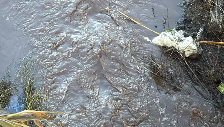 Bafa Gölü’ndeki Kirlilik Sorunu ve Su Düzeyi Yükselmesi